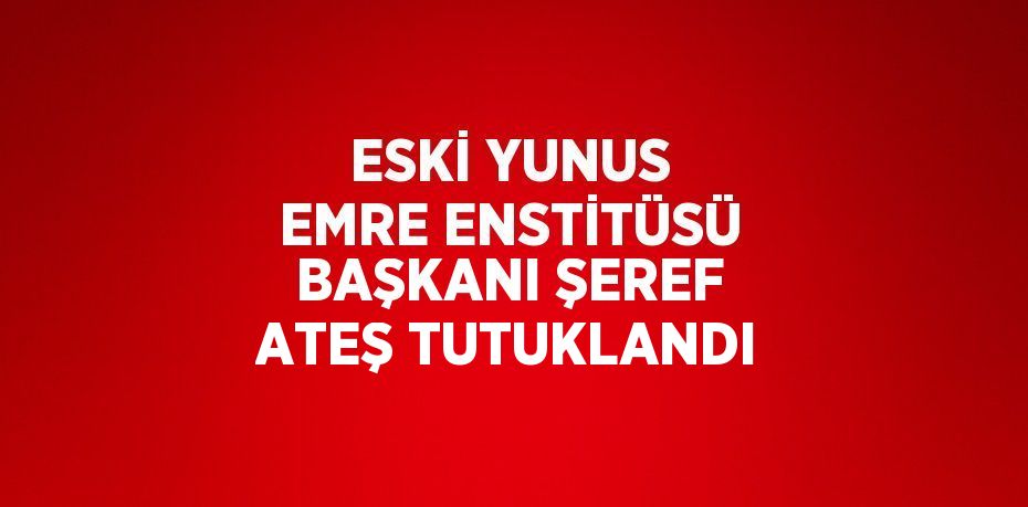 ESKİ YUNUS EMRE ENSTİTÜSÜ BAŞKANI ŞEREF ATEŞ TUTUKLANDI