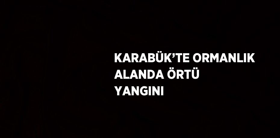 KARABÜK’TE ORMANLIK ALANDA ÖRTÜ YANGINI