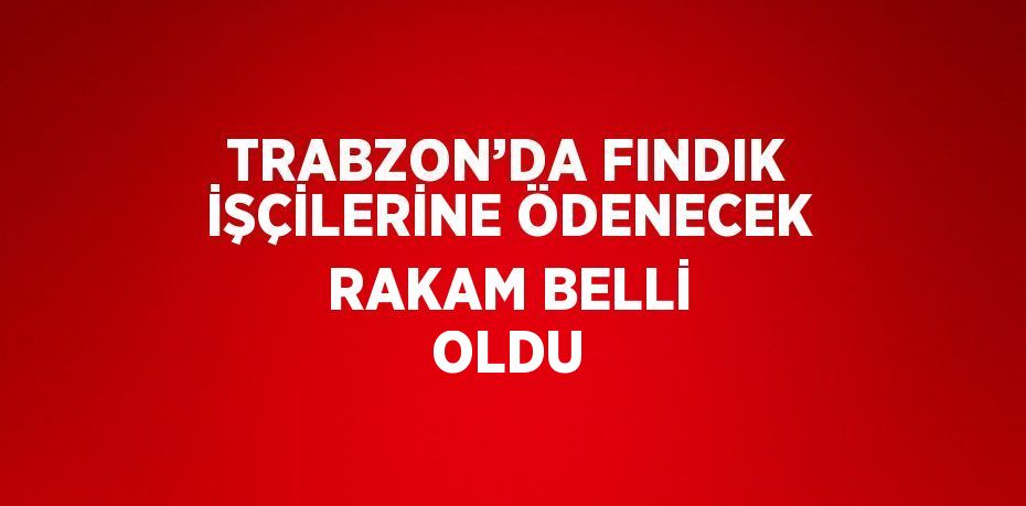TRABZON’DA FINDIK İŞÇİLERİNE ÖDENECEK RAKAM BELLİ OLDU
