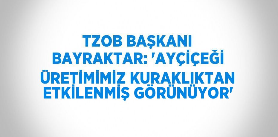 TZOB BAŞKANI BAYRAKTAR: 'AYÇİÇEĞİ ÜRETİMİMİZ KURAKLIKTAN ETKİLENMİŞ GÖRÜNÜYOR'