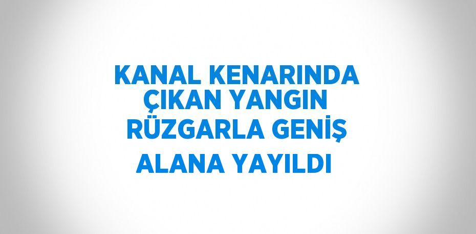 KANAL KENARINDA ÇIKAN YANGIN RÜZGARLA GENİŞ ALANA YAYILDI
