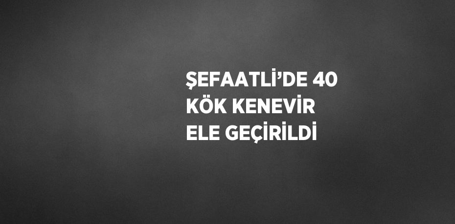 ŞEFAATLİ’DE 40 KÖK KENEVİR ELE GEÇİRİLDİ