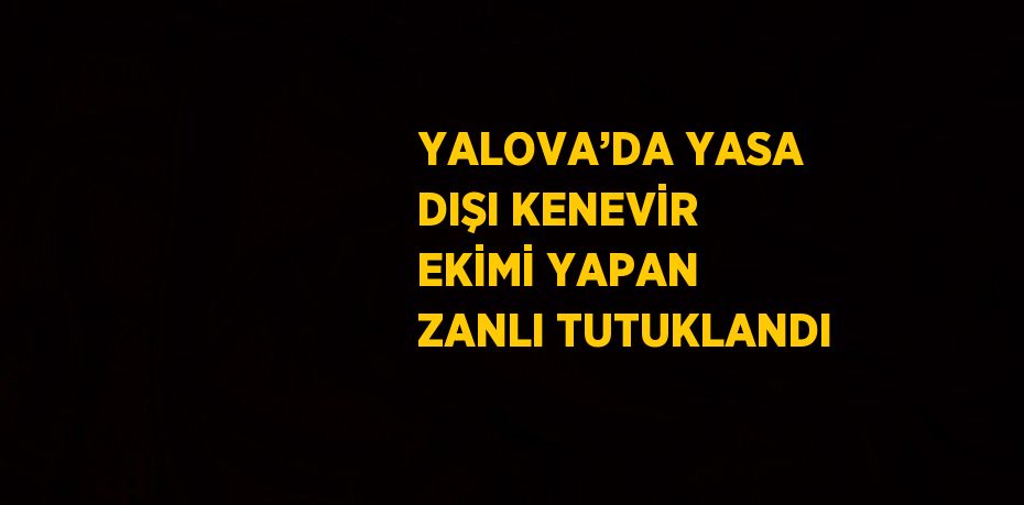 YALOVA’DA YASA DIŞI KENEVİR EKİMİ YAPAN ZANLI TUTUKLANDI
