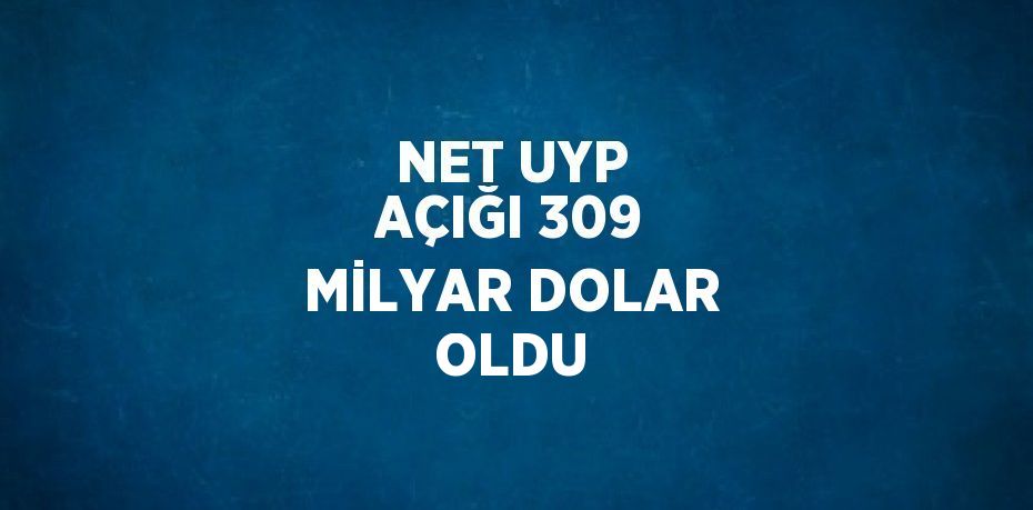 NET UYP AÇIĞI 309 MİLYAR DOLAR OLDU