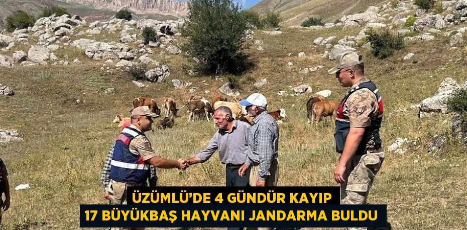 ÜZÜMLÜ’DE 4 GÜNDÜR KAYIP 17 BÜYÜKBAŞ HAYVANI JANDARMA BULDU