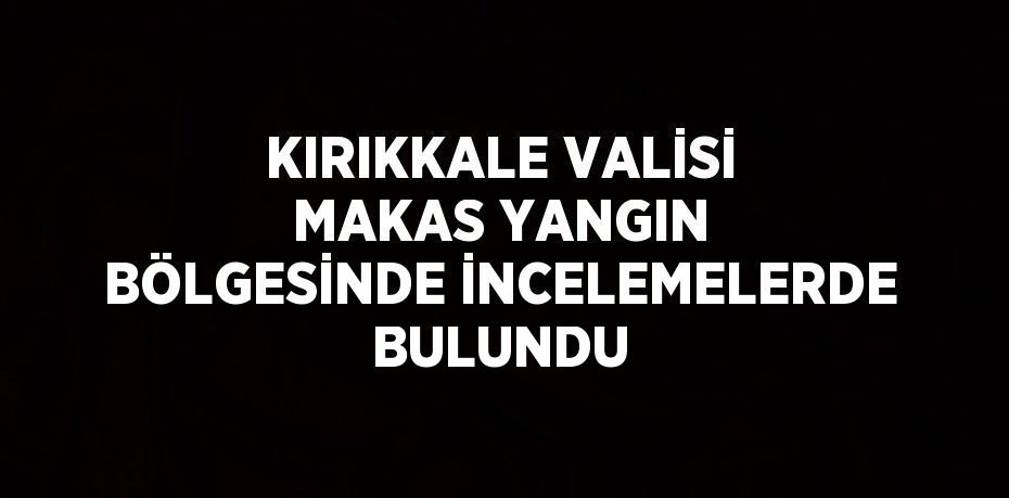 KIRIKKALE VALİSİ MAKAS YANGIN BÖLGESİNDE İNCELEMELERDE BULUNDU