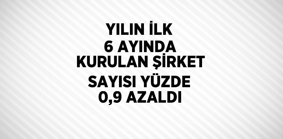 YILIN İLK 6 AYINDA KURULAN ŞİRKET SAYISI YÜZDE 0,9 AZALDI