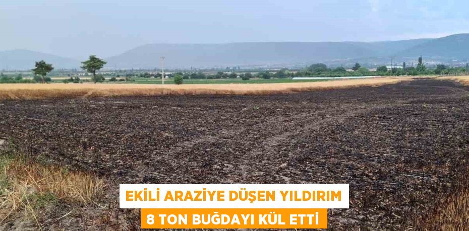 EKİLİ ARAZİYE DÜŞEN YILDIRIM 8 TON BUĞDAYI KÜL ETTİ