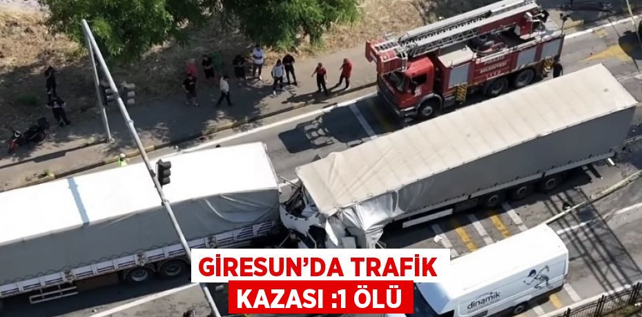 GİRESUN’DA TRAFİK KAZASI :1 ÖLÜ