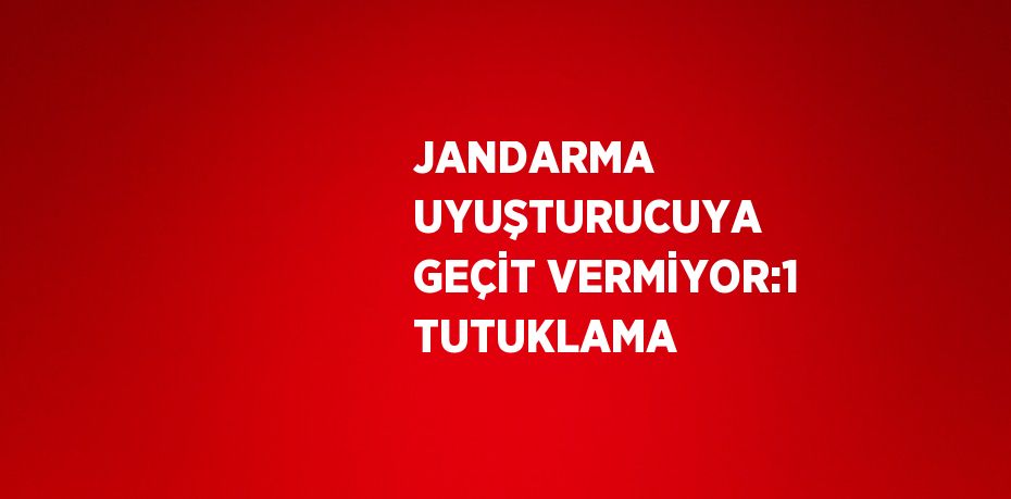 JANDARMA UYUŞTURUCUYA GEÇİT VERMİYOR:1 TUTUKLAMA