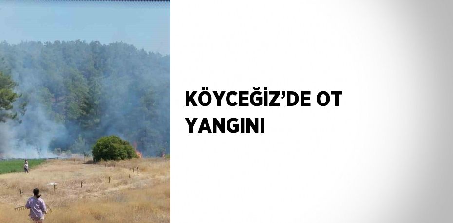 KÖYCEĞİZ’DE OT YANGINI
