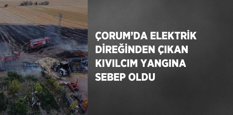 ÇORUM’DA ELEKTRİK DİREĞİNDEN ÇIKAN KIVILCIM YANGINA SEBEP OLDU