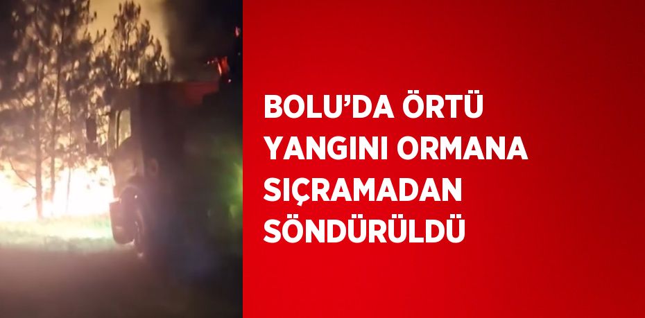 BOLU’DA ÖRTÜ YANGINI ORMANA SIÇRAMADAN SÖNDÜRÜLDÜ