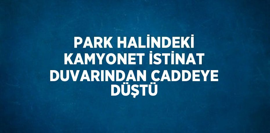 PARK HALİNDEKİ KAMYONET İSTİNAT DUVARINDAN CADDEYE DÜŞTÜ