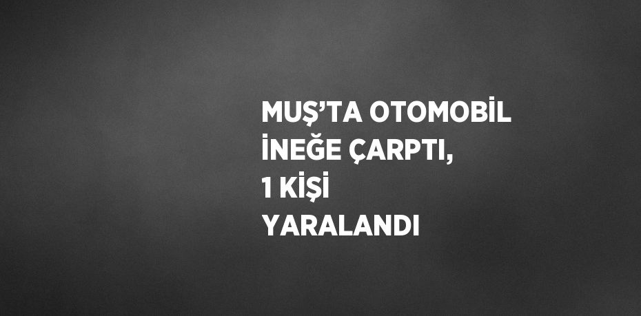 MUŞ’TA OTOMOBİL İNEĞE ÇARPTI, 1 KİŞİ YARALANDI