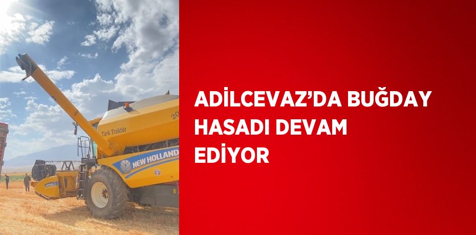 ADİLCEVAZ’DA BUĞDAY HASADI DEVAM EDİYOR