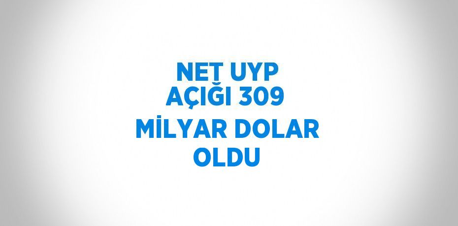 NET UYP AÇIĞI 309 MİLYAR DOLAR OLDU