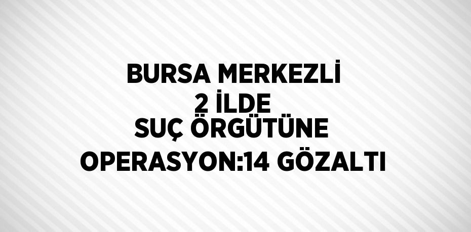 BURSA MERKEZLİ 2 İLDE SUÇ ÖRGÜTÜNE OPERASYON:14 GÖZALTI