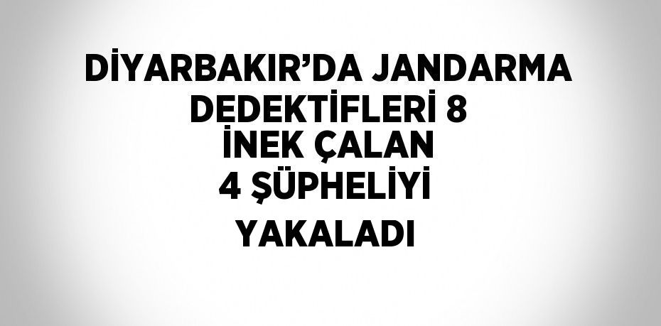 DİYARBAKIR’DA JANDARMA DEDEKTİFLERİ 8 İNEK ÇALAN 4 ŞÜPHELİYİ YAKALADI