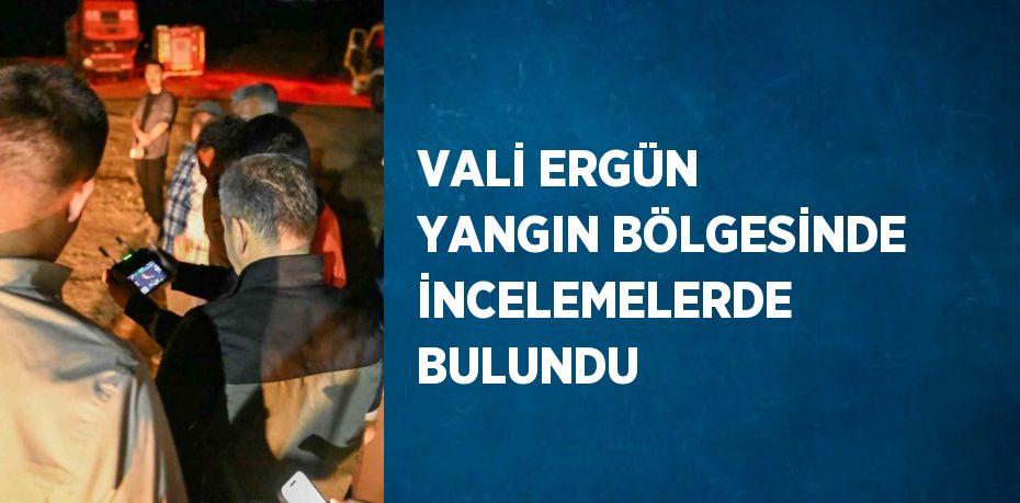 VALİ ERGÜN YANGIN BÖLGESİNDE İNCELEMELERDE BULUNDU