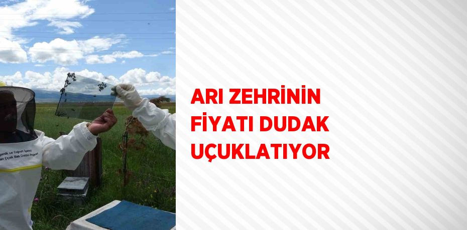 ARI ZEHRİNİN FİYATI DUDAK UÇUKLATIYOR