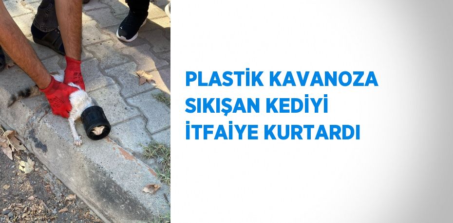 PLASTİK KAVANOZA SIKIŞAN KEDİYİ İTFAİYE KURTARDI