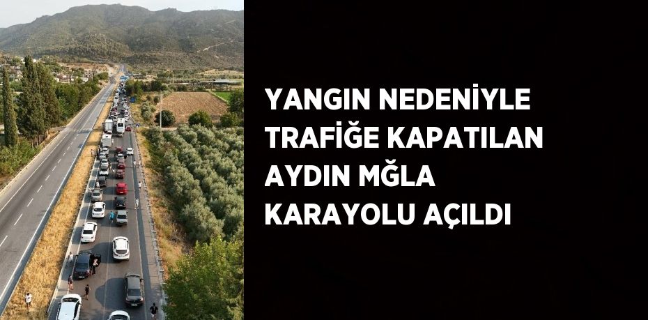 YANGIN NEDENİYLE TRAFİĞE KAPATILAN AYDIN MĞLA KARAYOLU AÇILDI