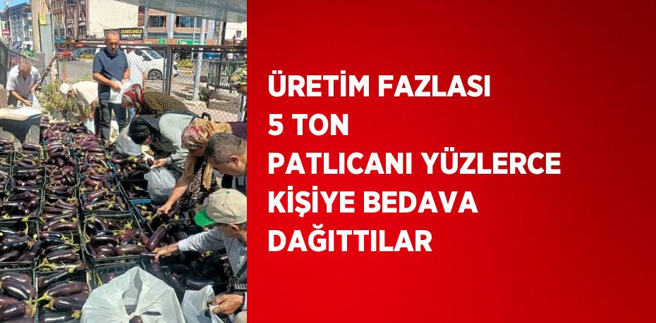 ÜRETİM FAZLASI 5 TON PATLICANI YÜZLERCE KİŞİYE BEDAVA DAĞITTILAR