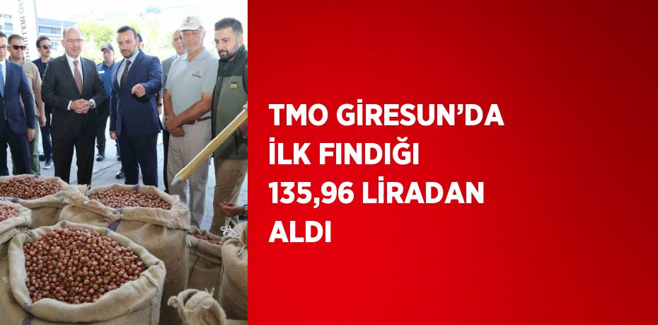 TMO GİRESUN’DA İLK FINDIĞI 135,96 LİRADAN ALDI