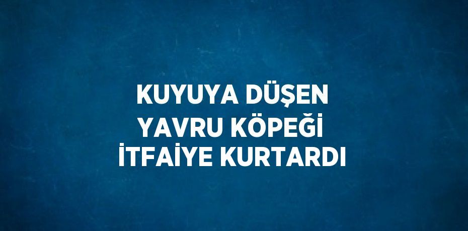 KUYUYA DÜŞEN YAVRU KÖPEĞİ İTFAİYE KURTARDI