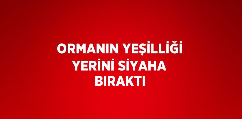 ORMANIN YEŞİLLİĞİ YERİNİ SİYAHA BIRAKTI