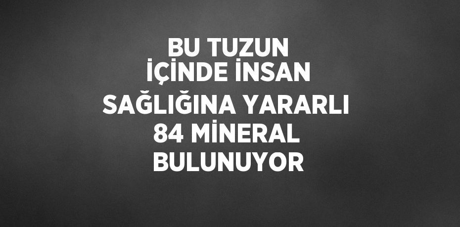 BU TUZUN İÇİNDE İNSAN SAĞLIĞINA YARARLI 84 MİNERAL BULUNUYOR