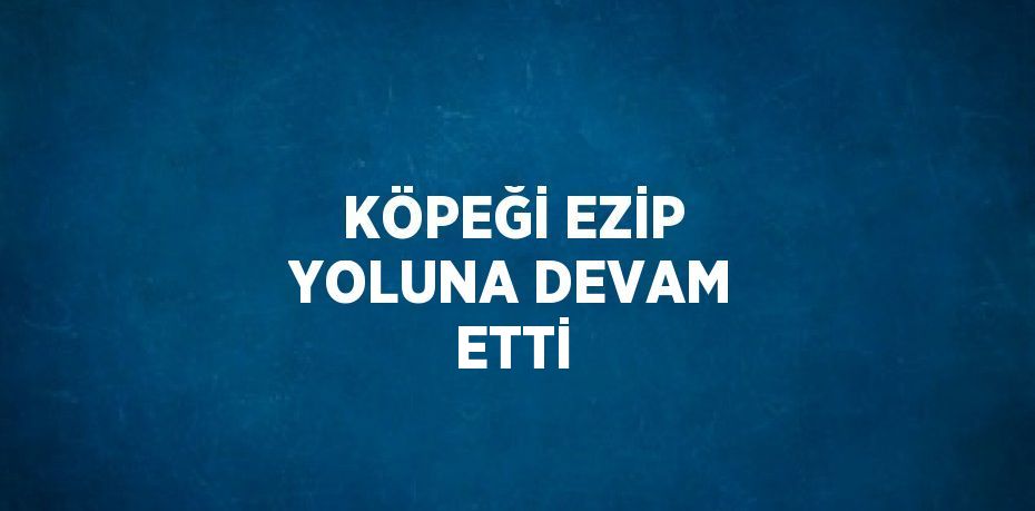 KÖPEĞİ EZİP YOLUNA DEVAM ETTİ