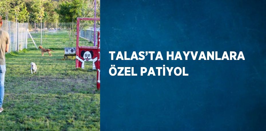 TALAS’TA HAYVANLARA ÖZEL PATİYOL