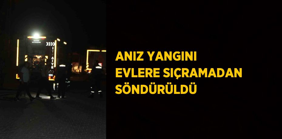 ANIZ YANGINI EVLERE SIÇRAMADAN SÖNDÜRÜLDÜ