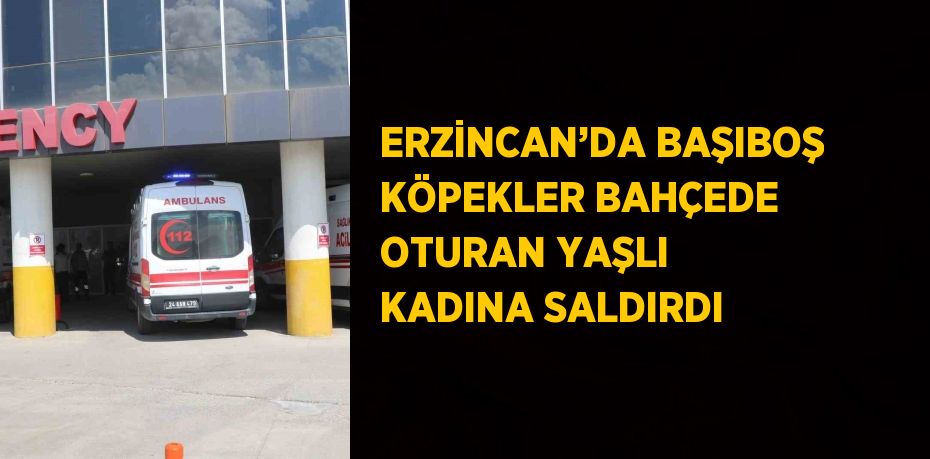 ERZİNCAN’DA BAŞIBOŞ KÖPEKLER BAHÇEDE OTURAN YAŞLI KADINA SALDIRDI