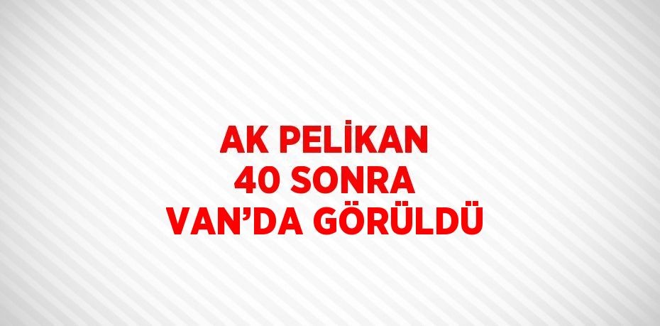 AK PELİKAN 40 SONRA VAN’DA GÖRÜLDÜ