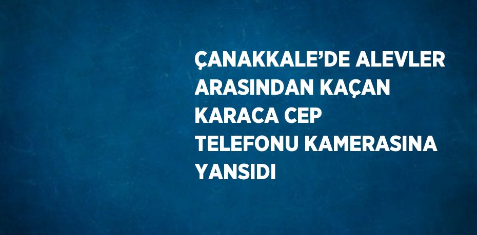 ÇANAKKALE’DE ALEVLER ARASINDAN KAÇAN KARACA CEP TELEFONU KAMERASINA YANSIDI