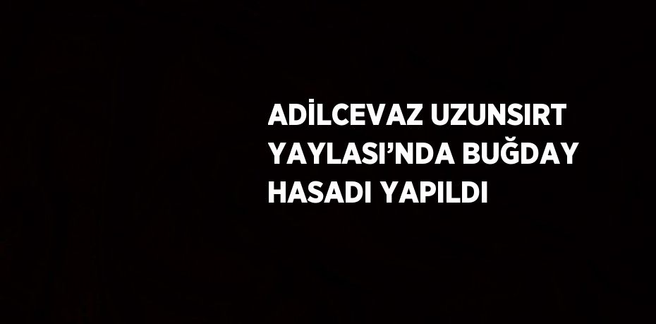 ADİLCEVAZ UZUNSIRT YAYLASI’NDA BUĞDAY HASADI YAPILDI