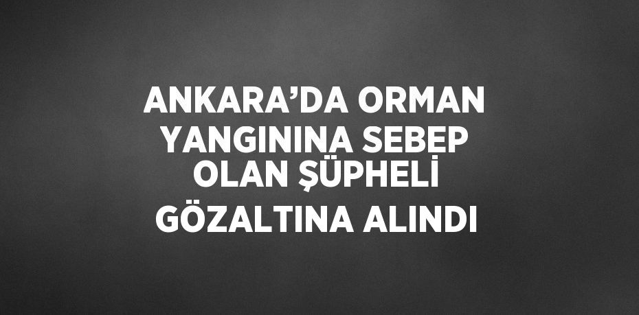 ANKARA’DA ORMAN YANGININA SEBEP OLAN ŞÜPHELİ GÖZALTINA ALINDI