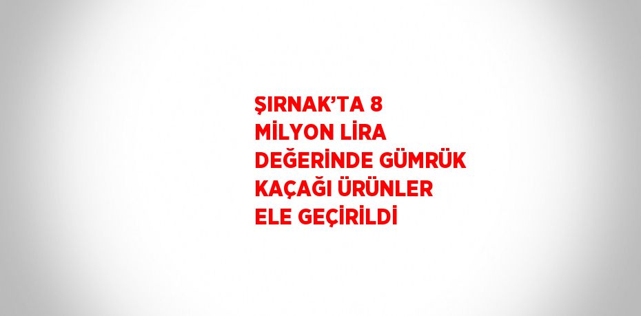 ŞIRNAK’TA 8 MİLYON LİRA DEĞERİNDE GÜMRÜK KAÇAĞI ÜRÜNLER ELE GEÇİRİLDİ