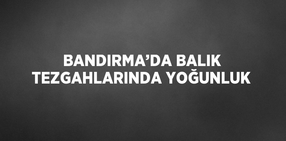BANDIRMA’DA BALIK TEZGAHLARINDA YOĞUNLUK