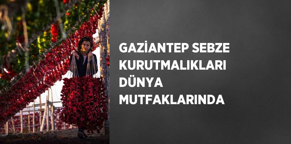 GAZİANTEP SEBZE KURUTMALIKLARI DÜNYA MUTFAKLARINDA