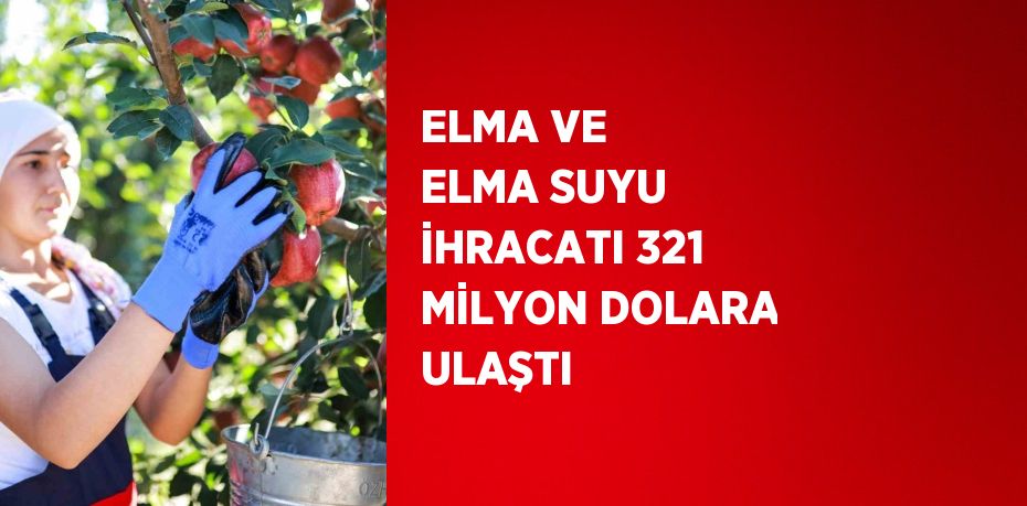 ELMA VE ELMA SUYU İHRACATI 321 MİLYON DOLARA ULAŞTI