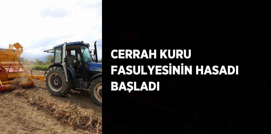 CERRAH KURU FASULYESİNİN HASADI BAŞLADI