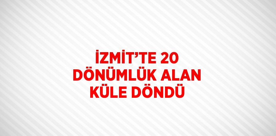 İZMİT’TE 20 DÖNÜMLÜK ALAN KÜLE DÖNDÜ