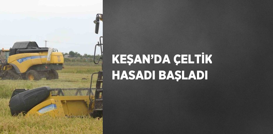 KEŞAN’DA ÇELTİK HASADI BAŞLADI