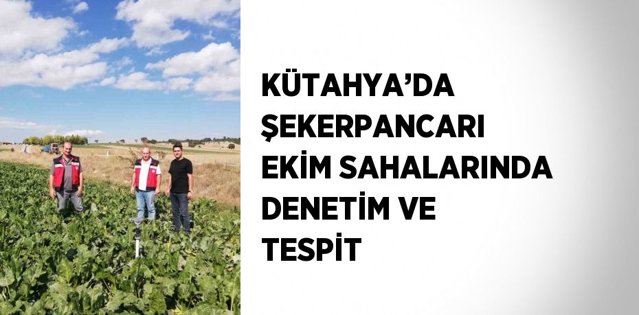 KÜTAHYA’DA ŞEKERPANCARI EKİM SAHALARINDA DENETİM VE TESPİT