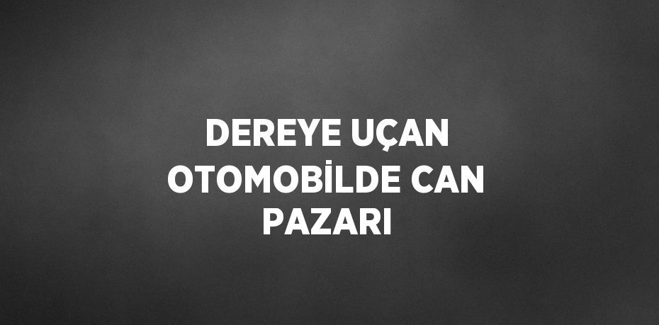 DEREYE UÇAN OTOMOBİLDE CAN PAZARI