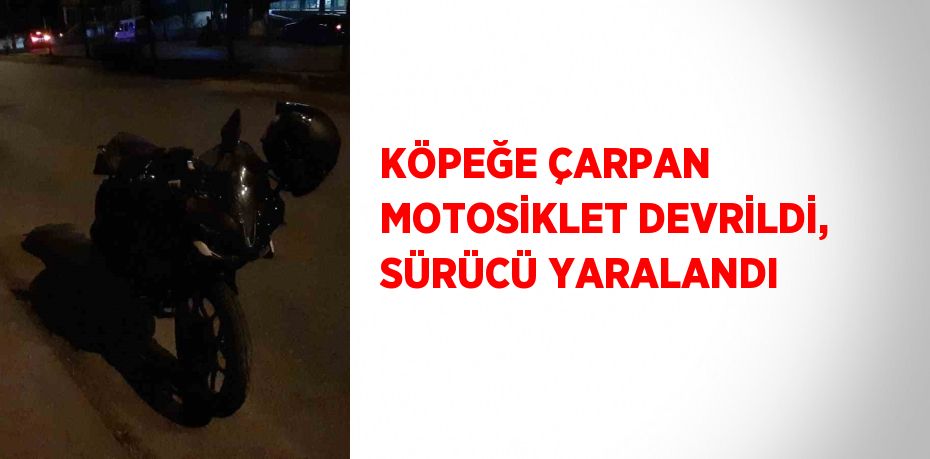 KÖPEĞE ÇARPAN MOTOSİKLET DEVRİLDİ, SÜRÜCÜ YARALANDI